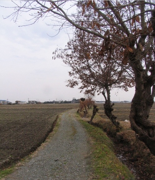 三重県のオオクワガタポイントとカブトムシ採集