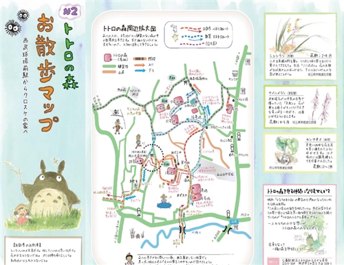 カブトムシ採集は東京の狭山丘陵トトロの森、野山北・六道山公園で！