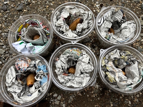 カブトムシ蛹室作り方