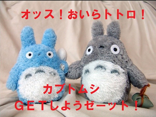 カブトムシ採集は東京の狭山丘陵トトロの森、野山北・六道山公園で!