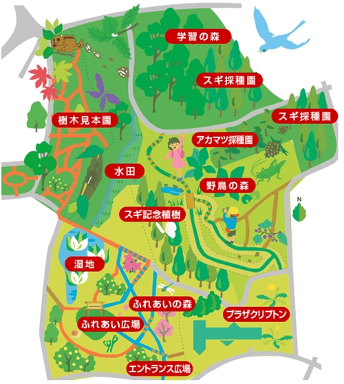 秋田県の森林学習交流館プラザクリプトンでカブトムシ・クワガタ採集