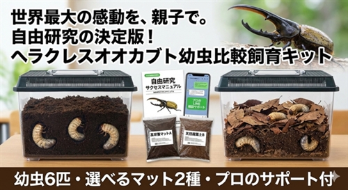 カブトムシReユース里親牧場 オフィシャルサイト