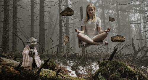 秩父のミヤマクワガタと外人と土屋大凰