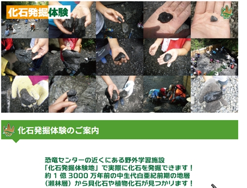 オオクワガタの材割採集。群馬県と埼玉県