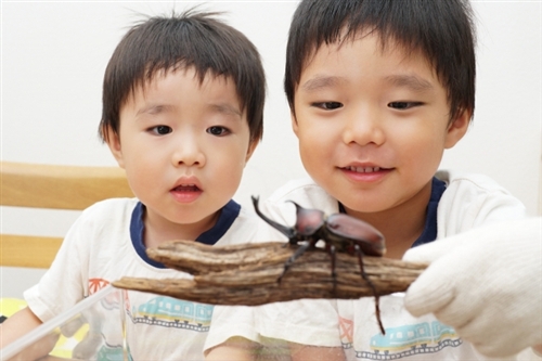 日曜日よりの使者とハックルベリーに会いに行こうぜ