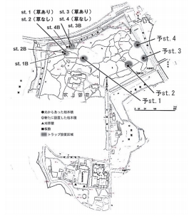皇居のカブトムシ・クワガタ採集結果