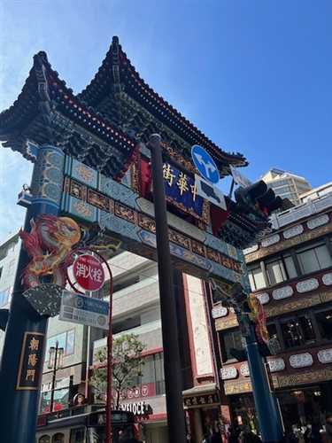 神奈川県のカブトムシ採集スポット【長峰自然の森】