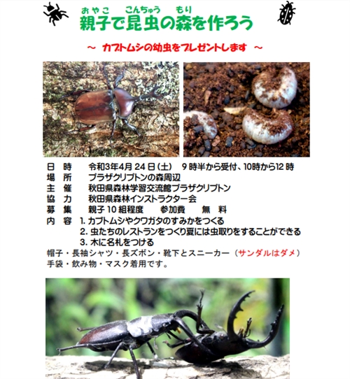 秋田県の森林学習交流館プラザクリプトンでカブトムシ・クワガタ採集