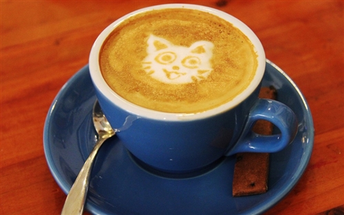 猫カフェと爬虫類カフェとカブトムシカフェ