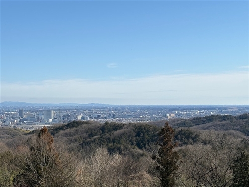 土地探しに疲れた人に!ここに良い土地あったよね