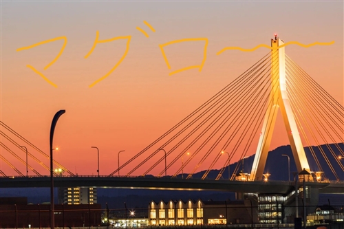 青森県カブトムシの採集ポイント